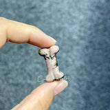 Mini Bone