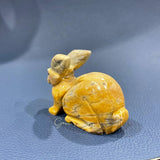 Peru 's stone rabbit