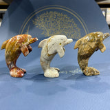 Peru's stone Dolphin