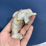 Peru's stone Dolphin