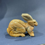 Peru 's stone rabbit