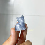 Cat's eye cat