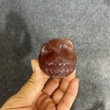 Jack's Head