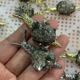 Pyrite snail