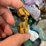 Female body(small)