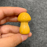 Medium mushroom family