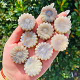 Moonstone sunflower