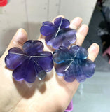 Violet purple fluorite clover