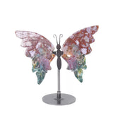 Ocean jasper butterfly
