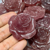 Strawberry crystal rose