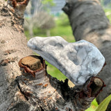 Crow'head carving
