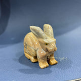Peru 's stone rabbit