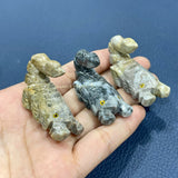 Peru's Stone Scorpion