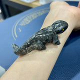 Peru's Stone Gecko