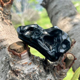 Crow'head carving