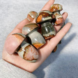 Ocean Jasper Mushroom