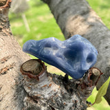 Crow'head carving