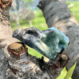 Crow'head carving