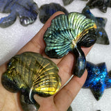 Labradorite leaf