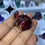 Colours fluorite tortoise