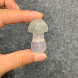 Medium mushroom family