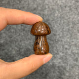 Medium mushroom family