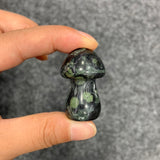 Medium mushroom family