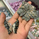 Ocean jasper butterfly