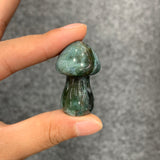 Medium mushroom family