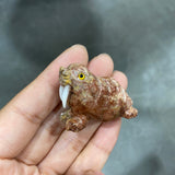Huj