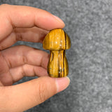 Medium mushroom family
