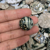 Ocean jasper