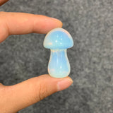 Medium mushroom family