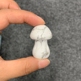 Medium mushroom family