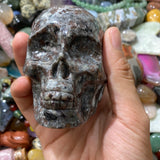 Skull