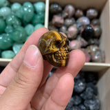 Small Skull