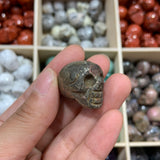 Small Skull