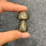 Medium mushroom family