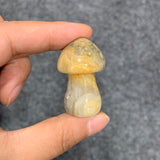 Medium mushroom family