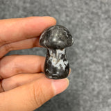 Medium mushroom family