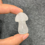 Medium mushroom family