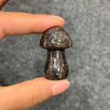 Medium mushroom family